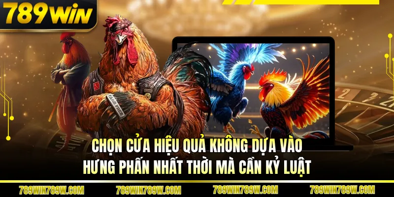Đá Gà Mang Tại 789win - Bí Quyết Đọc Trận Và Nâng Cấp Tư Duy Cược 3 Chọn cửa hiệu quả không dựa vào hưng phấn nhất thời mà cần kỷ luật