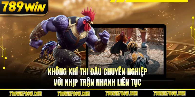 Luật Chơi Đá Gà Thomo Chi Tiết, Hiểu Đúng Để Theo Dõi Chuẩn 1 Không khí thi đấu chuyên nghiệp với nhịp trận nhanh liên tục