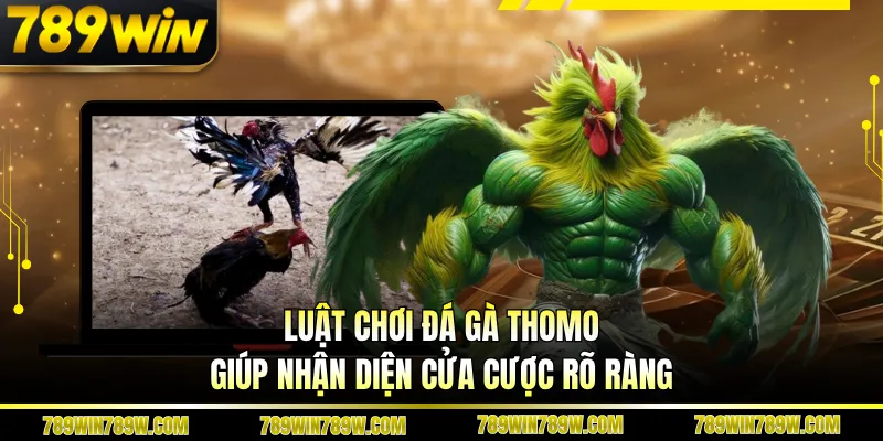 Luật Chơi Đá Gà Thomo Chi Tiết, Hiểu Đúng Để Theo Dõi Chuẩn 3 Luật chơi đá gà Thomo giúp nhận diện cửa cược rõ ràng