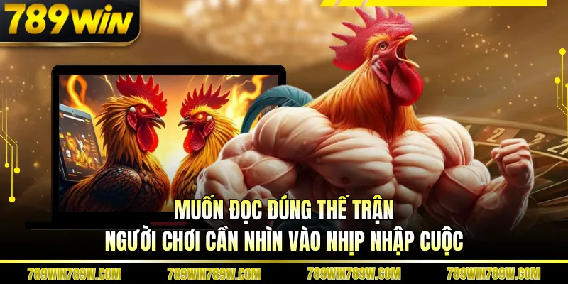 Đá Gà Mang Tại 789win - Bí Quyết Đọc Trận Và Nâng Cấp Tư Duy Cược 2 Muốn đọc đúng thế trận, người chơi cần nhìn vào nhịp nhập cuộc