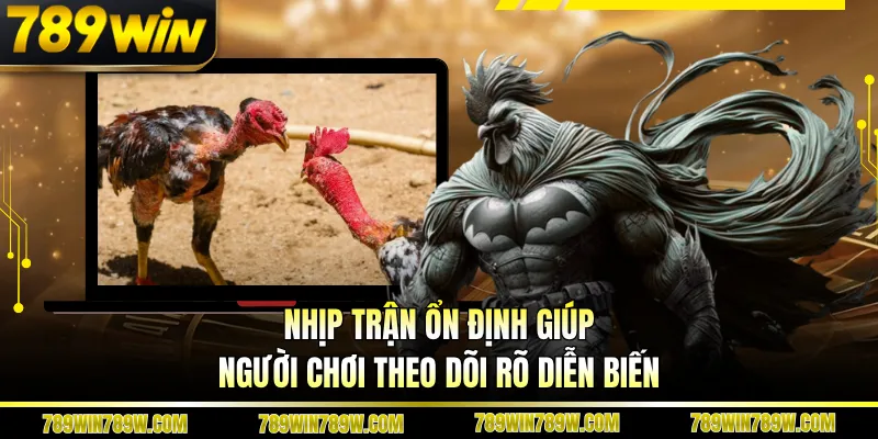 Luật Chơi Đá Gà Cựa Sắt Chi Tiết, Đúng Để Theo Dõi Chuẩn 1 Nhịp trận ổn định giúp người chơi theo dõi rõ diễn biến