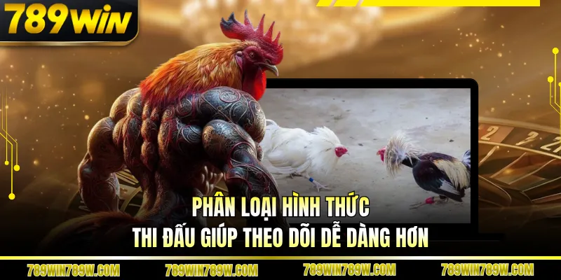 Luật Chơi Đá Gà Thomo Chi Tiết, Hiểu Đúng Để Theo Dõi Chuẩn 4 Phân loại hình thức thi đấu giúp theo dõi dễ dàng hơn