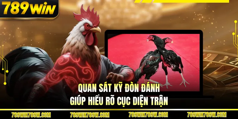 Luật Chơi Đá Gà Cựa Sắt Chi Tiết, Đúng Để Theo Dõi Chuẩn 3 Quan sát kỹ đòn đánh giúp hiểu rõ cục diện trận
