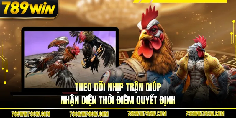 Luật Chơi Đá Gà Cựa Sắt Chi Tiết, Đúng Để Theo Dõi Chuẩn 5 Theo dõi nhịp trận giúp nhận diện thời điểm quyết định