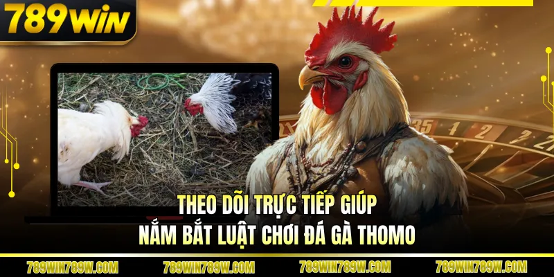 Luật Chơi Đá Gà Thomo Chi Tiết, Hiểu Đúng Để Theo Dõi Chuẩn 5 Theo dõi trực tiếp giúp nắm bắt luật chơi đá gà Thomo
