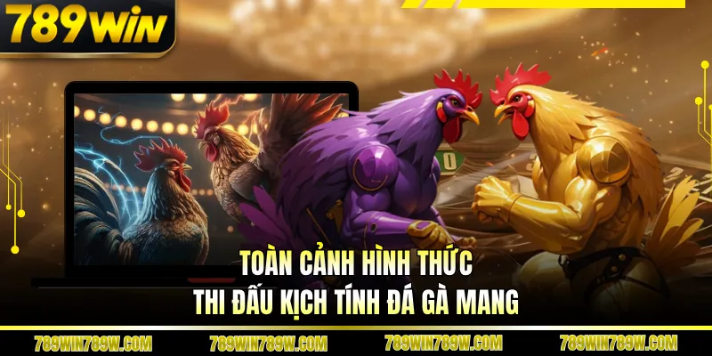 Đá Gà Mang Tại 789win - Bí Quyết Đọc Trận Và Nâng Cấp Tư Duy Cược 1 Toàn cảnh hình thức thi đấu kịch tính đá gà mang