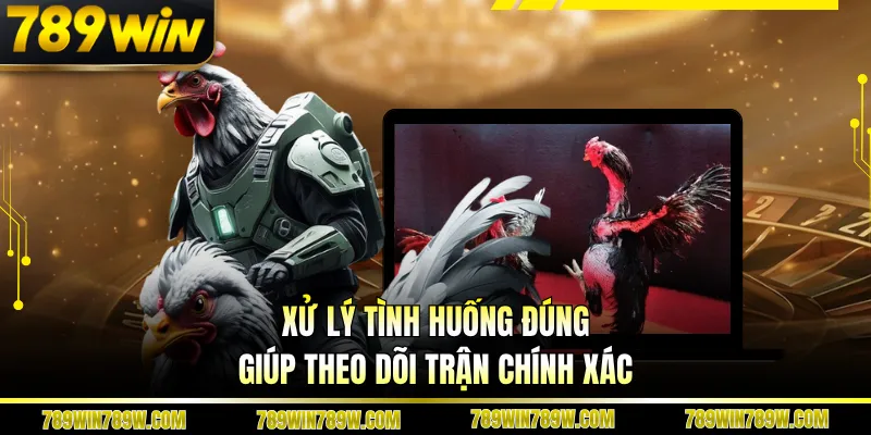 Luật Chơi Đá Gà Cựa Sắt Chi Tiết, Đúng Để Theo Dõi Chuẩn 4 Xử lý tình huống đúng giúp theo dõi trận chính xác